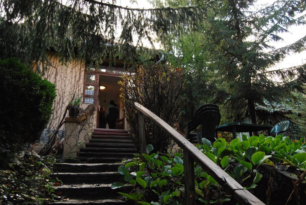 Boroka Apartmanhazak - Oereghaz Velem Pokoj fotografie