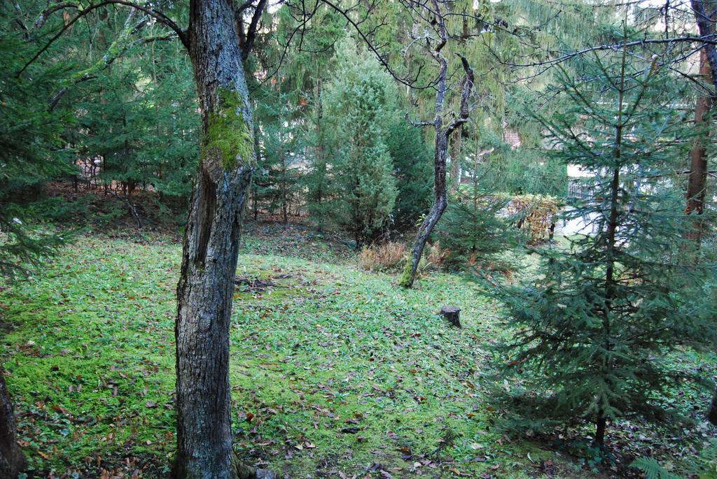 Boroka Apartmanhazak - Oereghaz Velem Pokoj fotografie