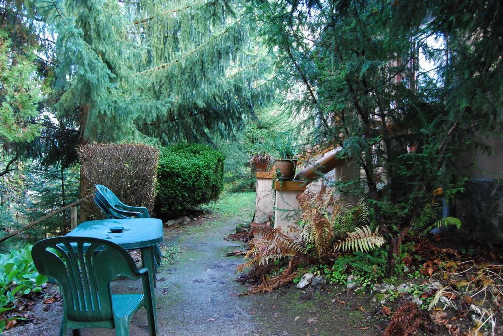 Boroka Apartmanhazak - Oereghaz Velem Pokoj fotografie