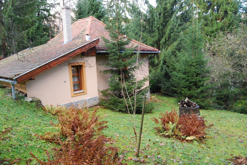Boroka Apartmanhazak - Oereghaz Velem Pokoj fotografie